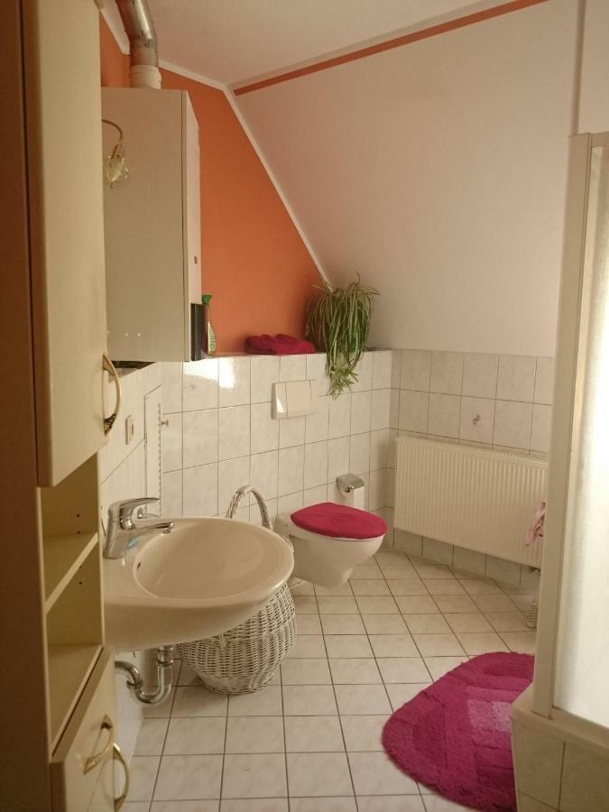 Ferienwohnung Knoche Zittau Extérieur photo